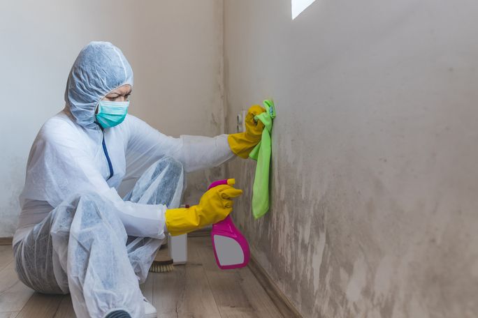 Mold Inspection