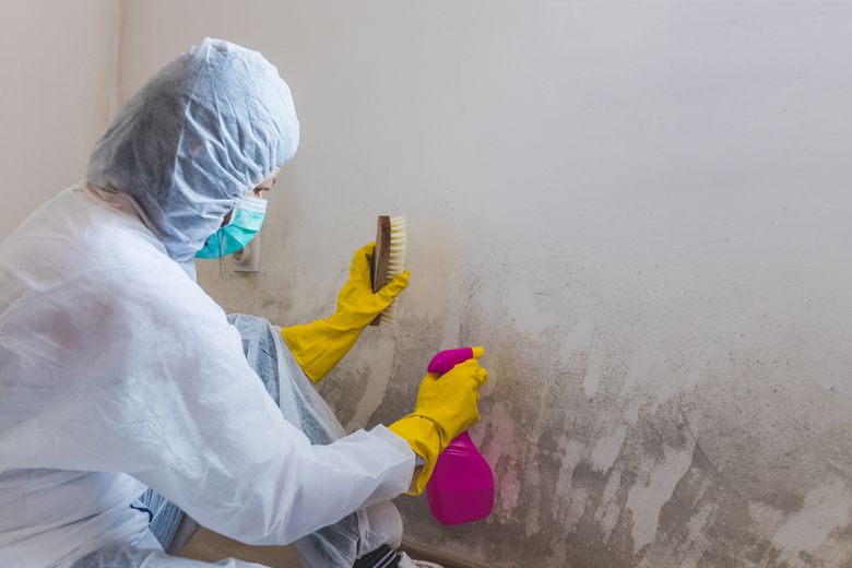 Mold Removal